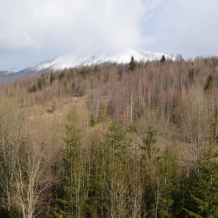Apartman Lesia Vysoké Tatry Dış mekan fotoğraf